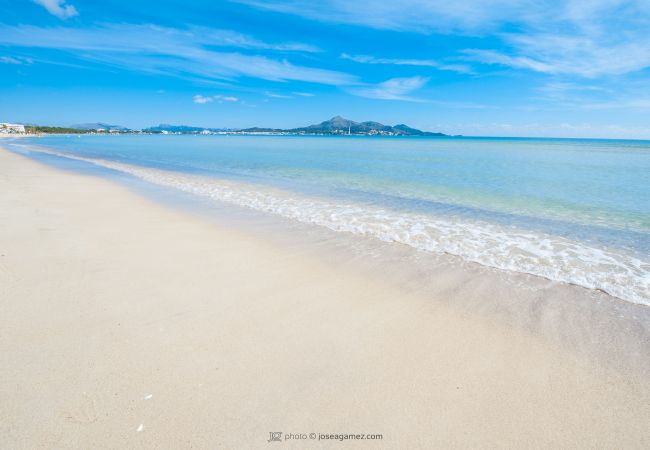 Apartamento en Alcúdia - APARTAMENTO BLUE LAGOON Apartamento en Alcúdia - APARTAMENTO BLUE LAGOON