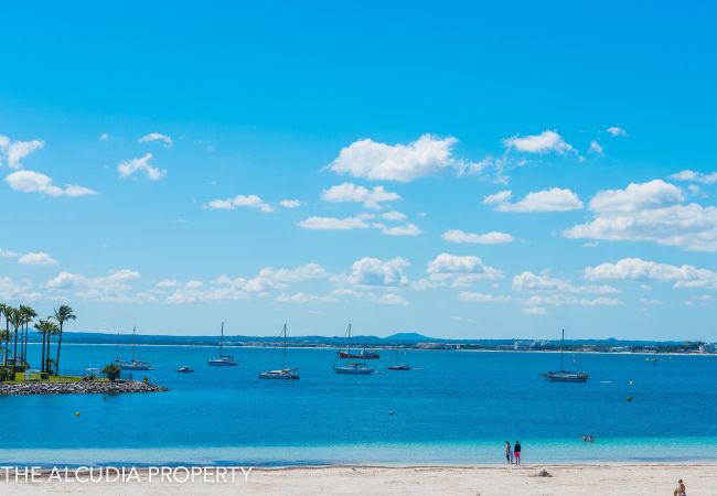 Apartamento en Alcúdia - APARTAMENTO MARINA Apartamento en Alcúdia - APARTAMENTO MARINA