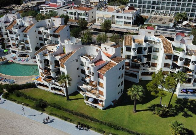 Apartamento en Alcúdia - APARTAMENTO  THIERRY Apartamento en Alcúdia - APARTAMENTO  THIERRY