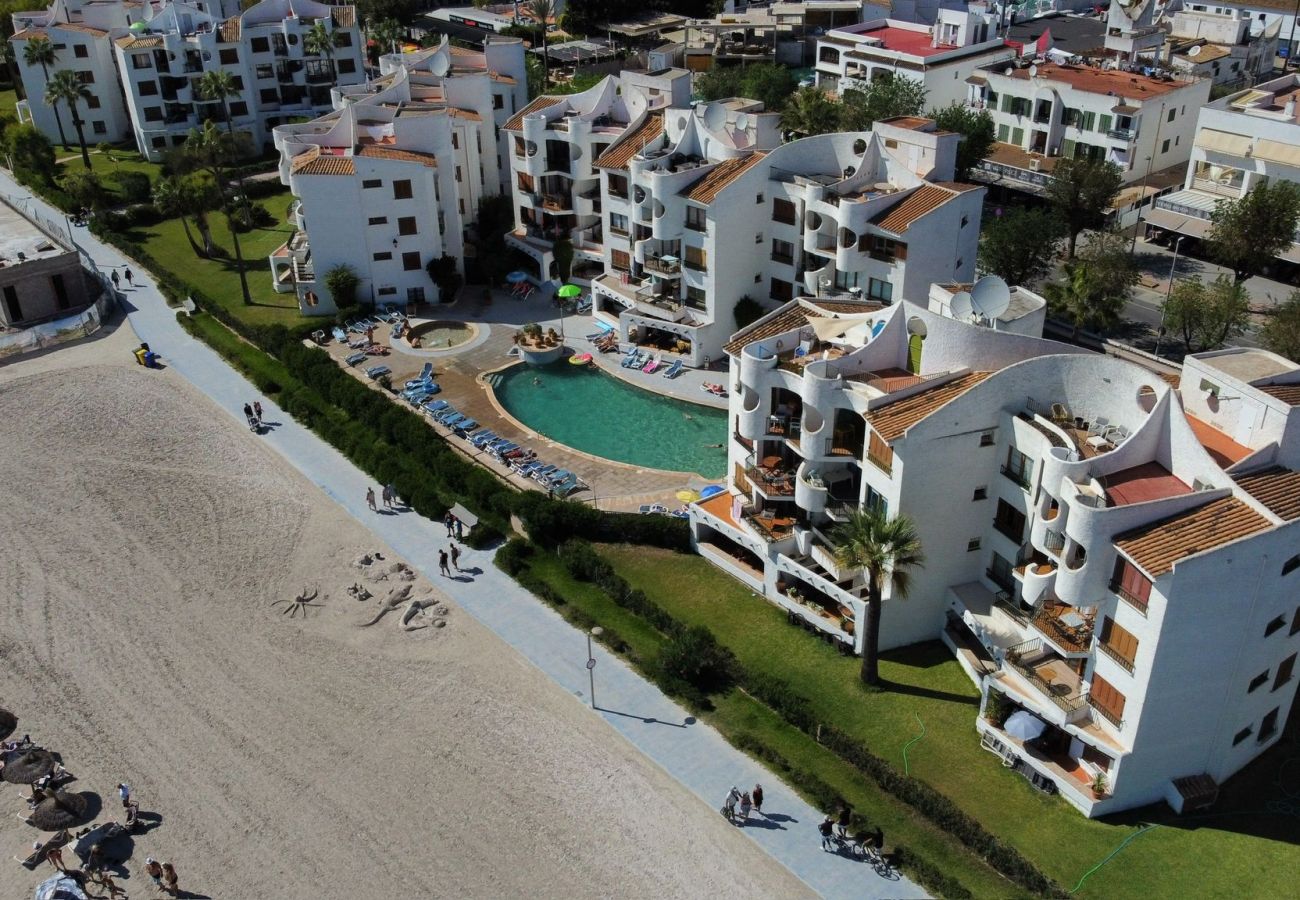 Apartamento en Alcúdia - APARTAMENTO  THIERRY