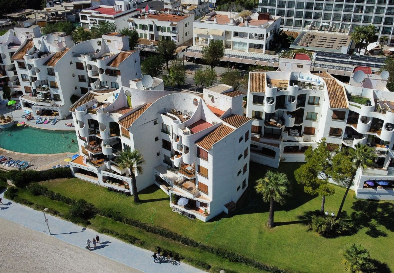 Apartamento en Alcúdia - APARTAMENTO  THIERRY