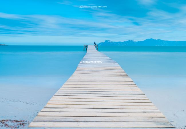 Apartamento en Alcúdia - SILVER  CYCLING Apartamento en Alcúdia - SILVER  CYCLING