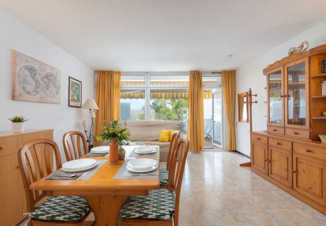 Apartamento en Alcúdia - SILVER  CYCLING Apartamento en Alcúdia - SILVER  CYCLING