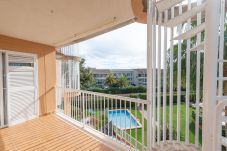 Ferienwohnung in Port de Pollença - 4033 APARTAMENTO LLENAIRE