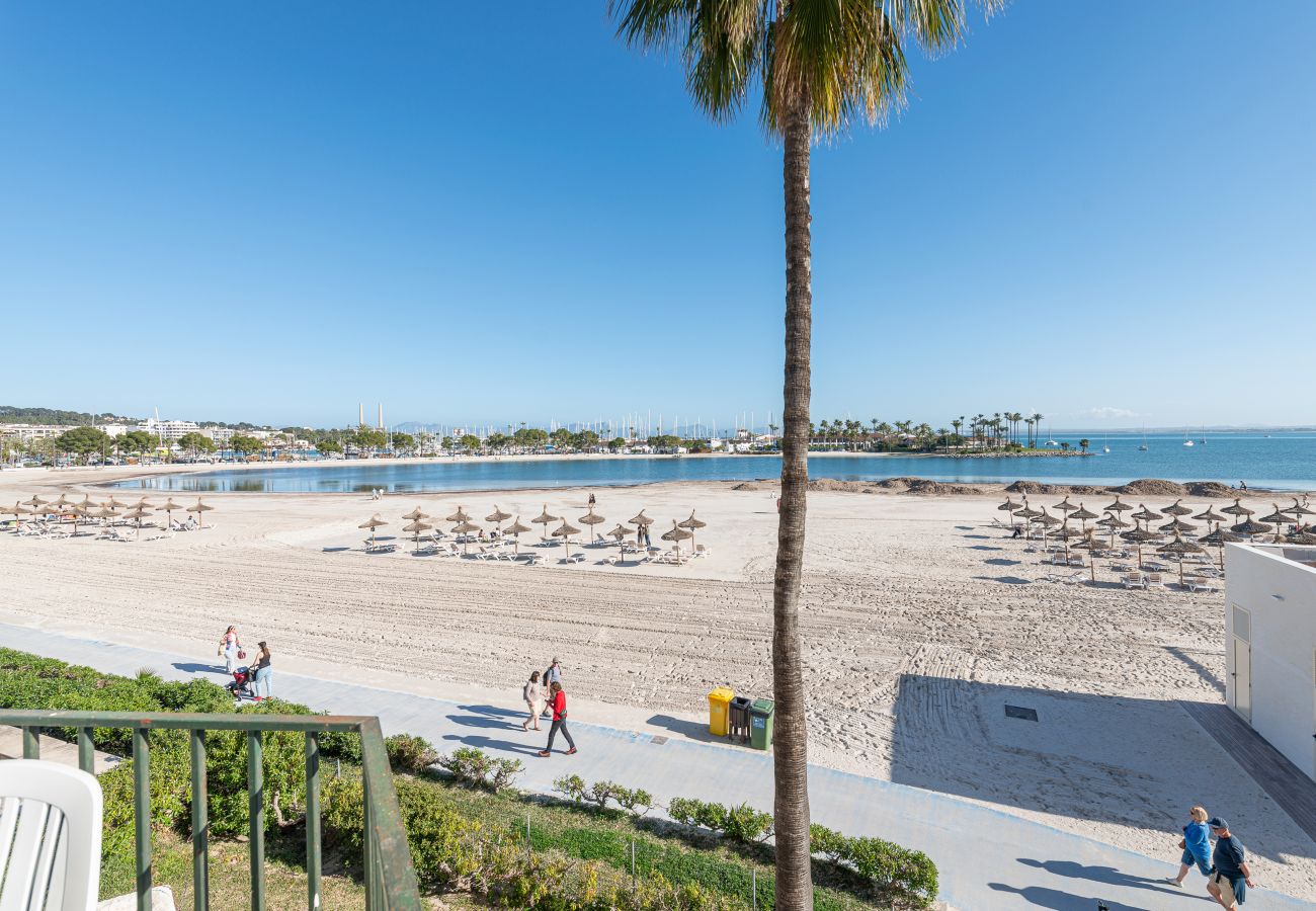 Ferienwohnung in Alcudia - APARTAMENTO BLUE LAGOON