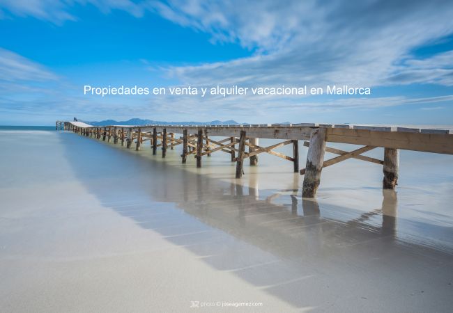 Ferienwohnung in Alcúdia - APARTAMENTO  THIERRY Ferienwohnung in Alcúdia - APARTAMENTO  THIERRY