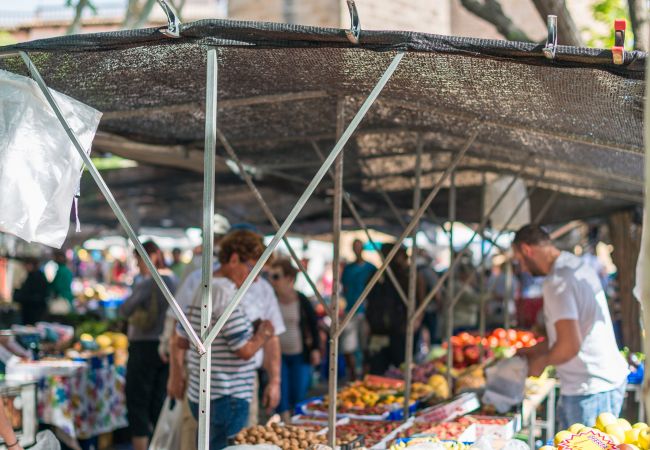 Ferienwohnung in Alcúdia - SILVER  CYCLING Ferienwohnung in Alcúdia - SILVER  CYCLING