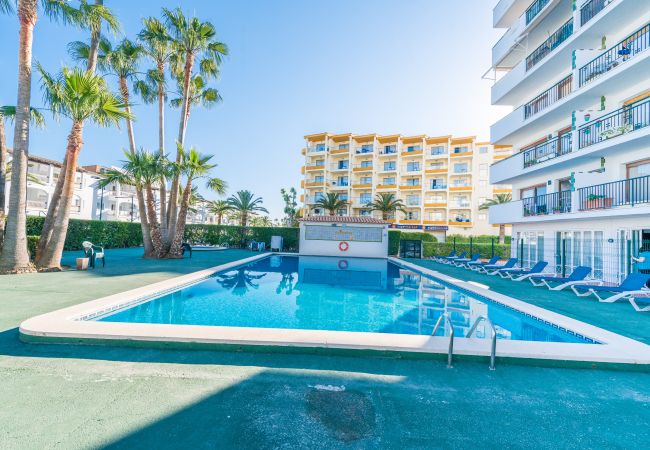 Ferienwohnung in Alcúdia - APARTAMENTO CAROLE Ferienwohnung in Alcúdia - APARTAMENTO CAROLE