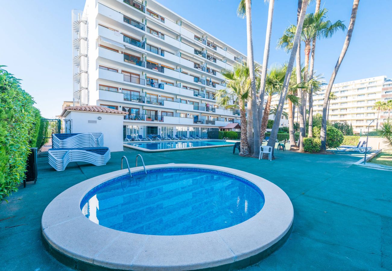 Ferienwohnung in Alcudia - APARTAMENTO CAROLE