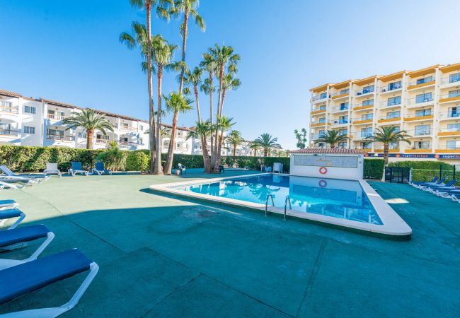 Ferienwohnung in Alcúdia - Apartamento Lyna Ferienwohnung in Alcúdia - Apartamento Lyna