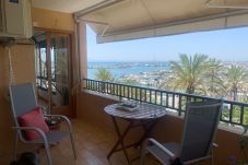 Flat in Alcúdia - 3920 Paseo Marítimo Alcudia