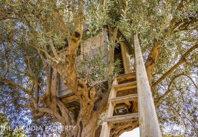 Domaine à Alcúdia - FINCA PEGASUS CYCLING Domaine à Alcúdia - FINCA PEGASUS CYCLING