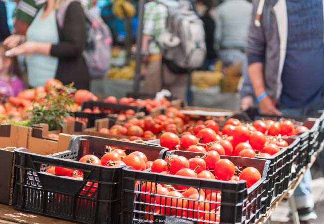 Chalet à Alcúdia - VILLA CAN JAUME Chalet à Alcúdia - VILLA CAN JAUME