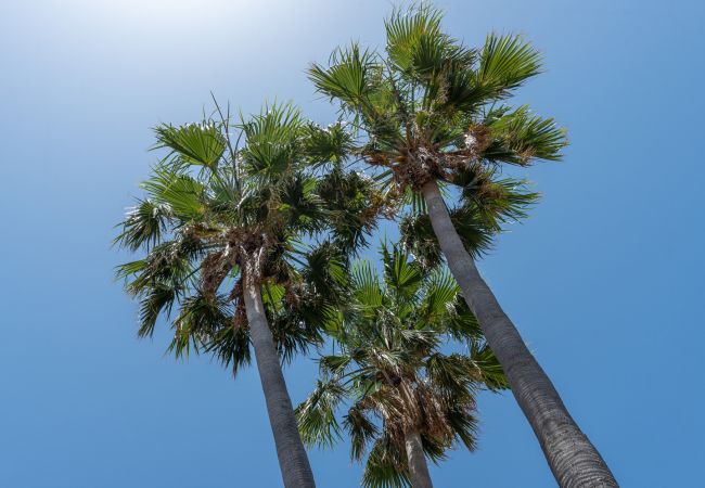 Chalet à Alcúdia - VILLA CLAUDINE CYCLING Chalet à Alcúdia - VILLA CLAUDINE CYCLING