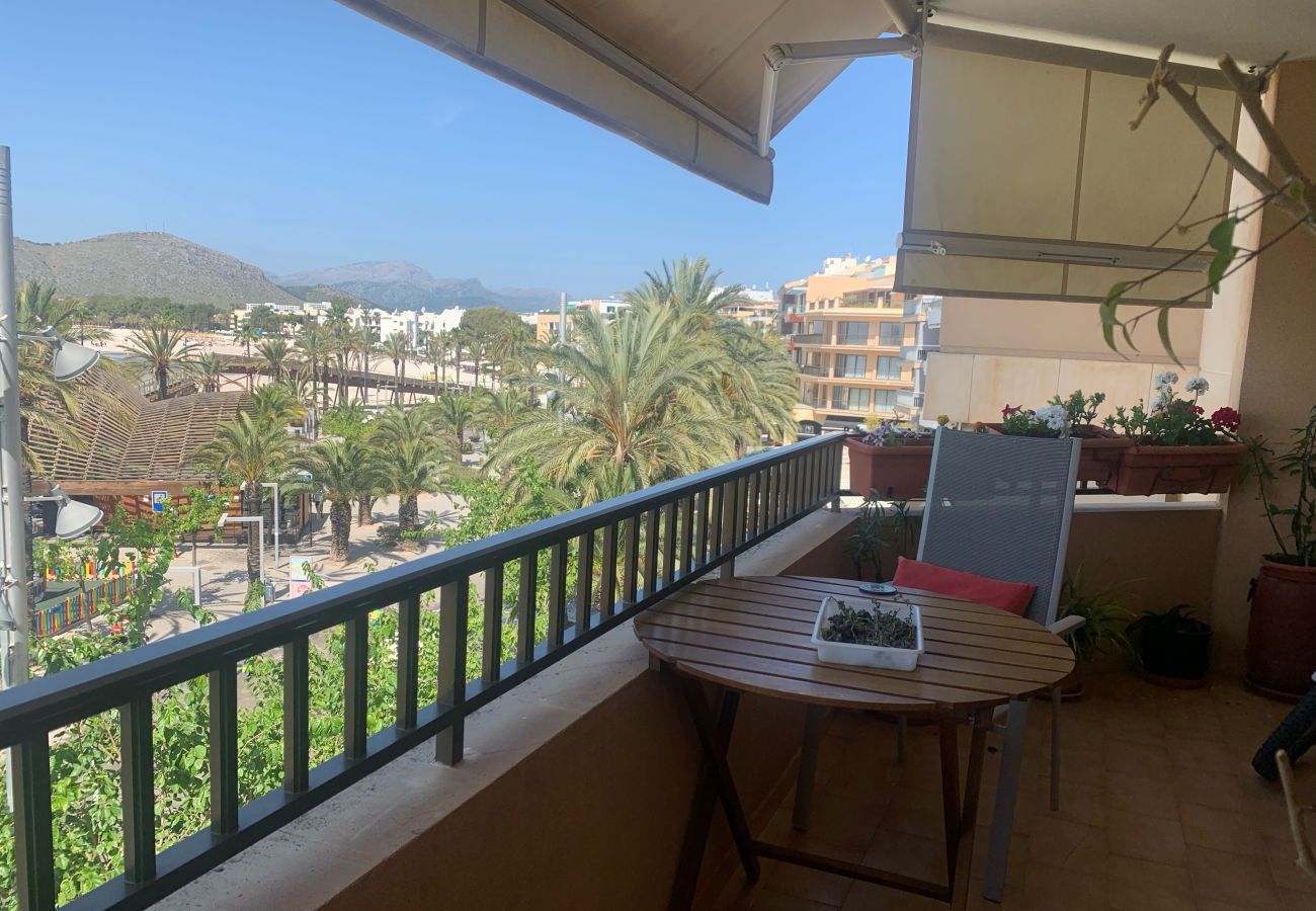 Appartement à Alcúdia - 3920 Paseo Marítimo Alcudia