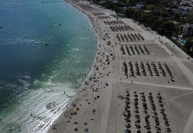 Lägenhet i Alcúdia - APARTAMENTO  THIERRY Lägenhet i Alcúdia - APARTAMENTO  THIERRY