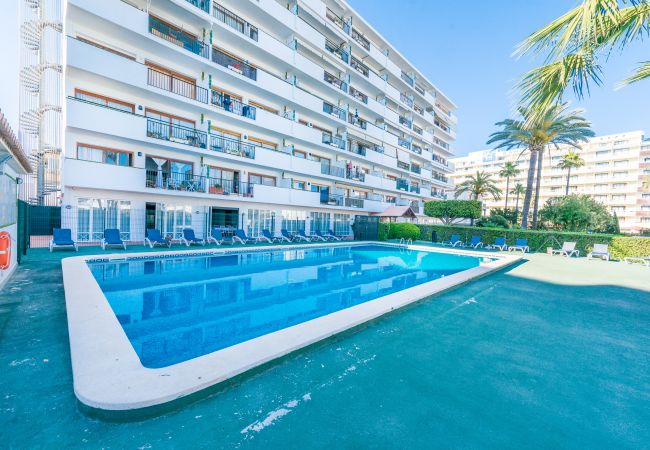 Lägenhet i Alcúdia - APARTAMENTO CAROLE Lägenhet i Alcúdia - APARTAMENTO CAROLE