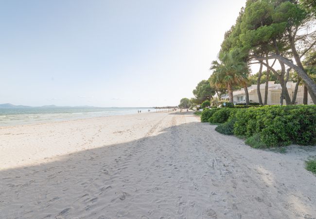 Lägenhet i Alcúdia - Casa Ketilla Lägenhet i Alcúdia - Casa Ketilla